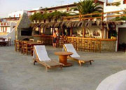 Carrop Tree Hotel - Mykonos Hotels by Red Travel Agency